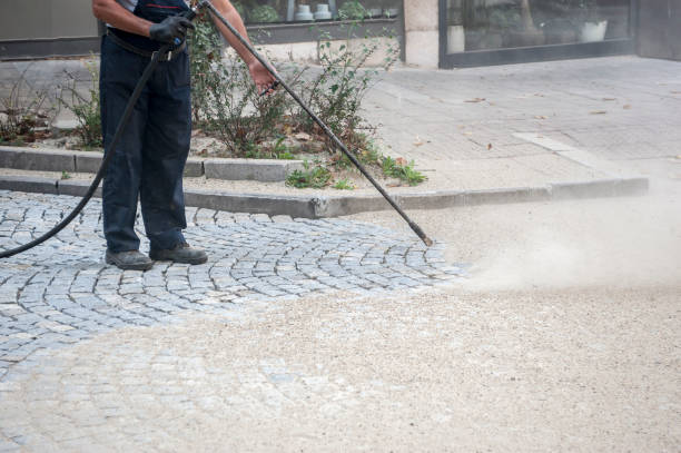 Best Animal Enclosure Cleaning  in Douglas, MI